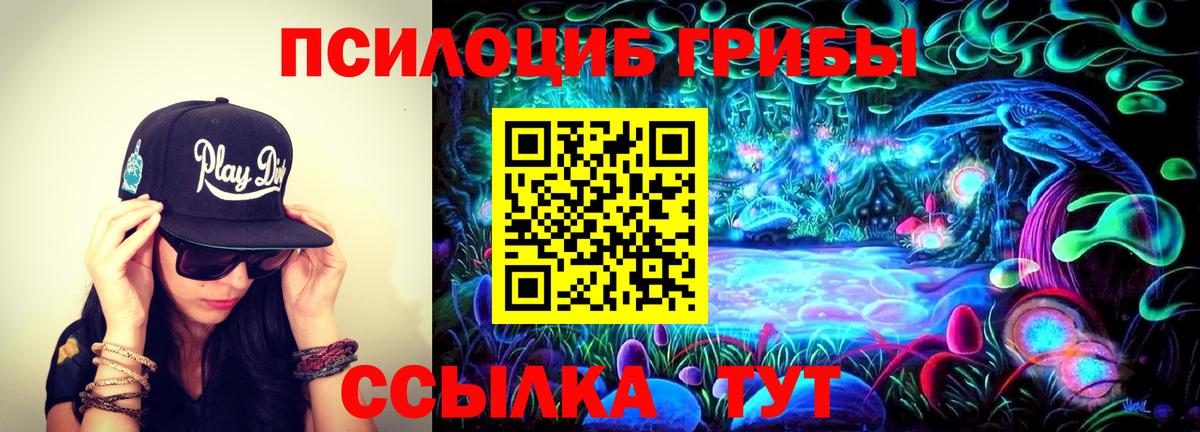 Галлюциногенные грибы мицелий Кудымкар