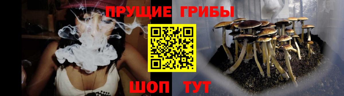 Псилоцибиновые грибы Psilocybe  Вход с VPN  Кудымкар 